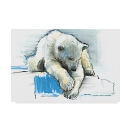 Mark Adlington 'Over The Edge' Canvas Art,30x47